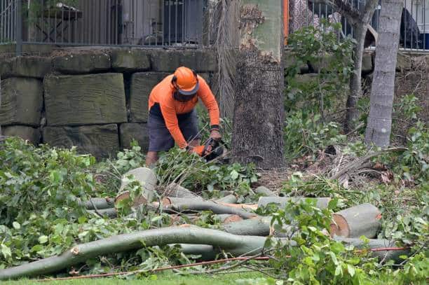 Land clearing services Dallas